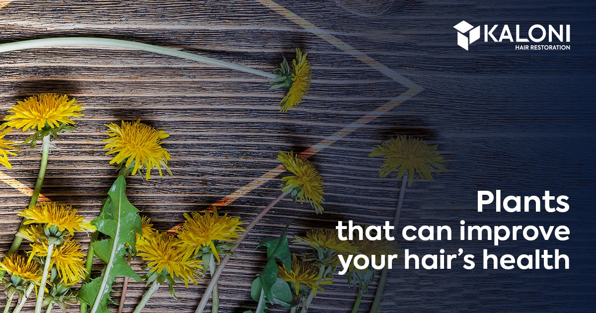 Plants that can improve your hair's health | Blog Kaloni